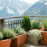 Quelles plantes choisir pour un balcon très venté à Grenoble ? Balcon grenoblois exposé au vent, aménagé avec des plantes alpines résistantes, de la lavande, du thym, des sédums, un genévrier compact et des graminées dans des jardinières solides.